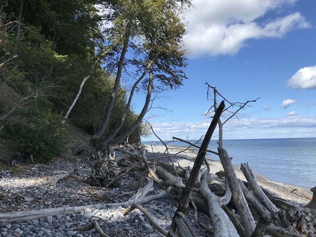 Am Ende der Kreidefelsen von Møns Klint