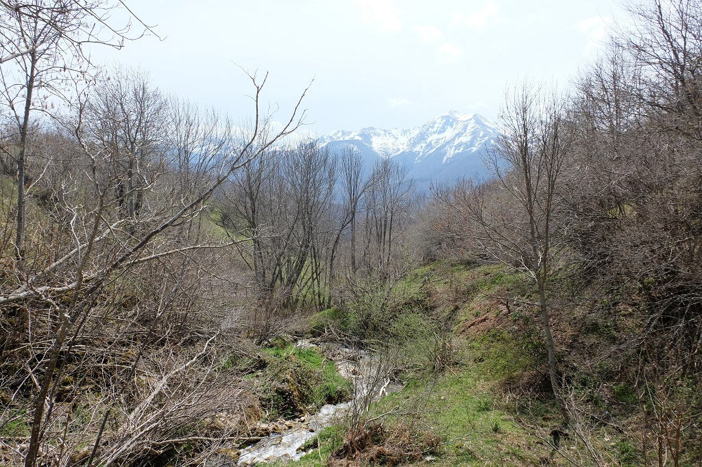 Die Bäume und Sträucher entlang des kleinen Baches Nevandi sind noch kahl. Dennoch liegt Frühling in der Luft