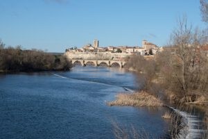 Im Bildvordergrund erscheint ein breiter Fluss, rechts und links wird er von hohen Bäumen gesäumt. Weil es Ende Februar ist, sind die Bäume noch kahl. Über den Fluss spannt sich eine romanische Brücke. Im Hintergrund erhebt sich eine Siedlung aus beigen Häusern und der viereckige Turm der Kathedrale von Zamora.