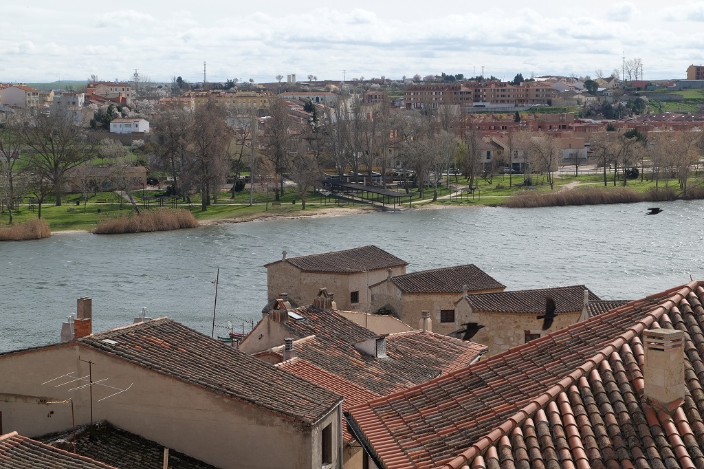 Im Vordergrund spannen sich Dächer aus roten Ziegelsteinen, dahinter das Wasser des Duero. Im Wasser fallen vier gleichförmige, kleine Gebäude auf. Es handelt sich um die Aceñas de Olivares, die als erste industrielle Anlage Zamoras gelten.
