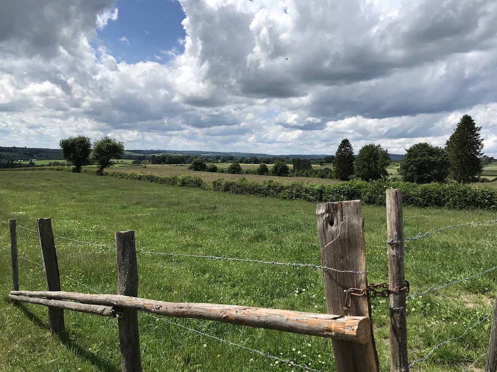 Eine Wiese wird gegliedert durch Zäune, Hecken und Bäume. Am Himmel zeigen sich imposate Haufenwolken. Blauer Himmel zeigt sich hinter einem Loch in der Wolkendecke.