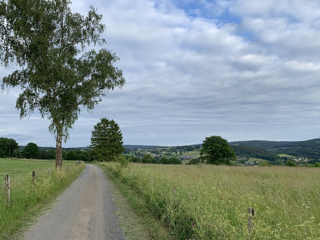 Am linken Bildrand ist ein landwirschaftlicher Weg zu sehen, rechterhand eine ungemähte Wiese. In der Bildmittte ist überwiegend Wald zu sehen, durchbrochen an einigen Stellen von Grünland mit einzelnen Häusern und Bauernhöfen.